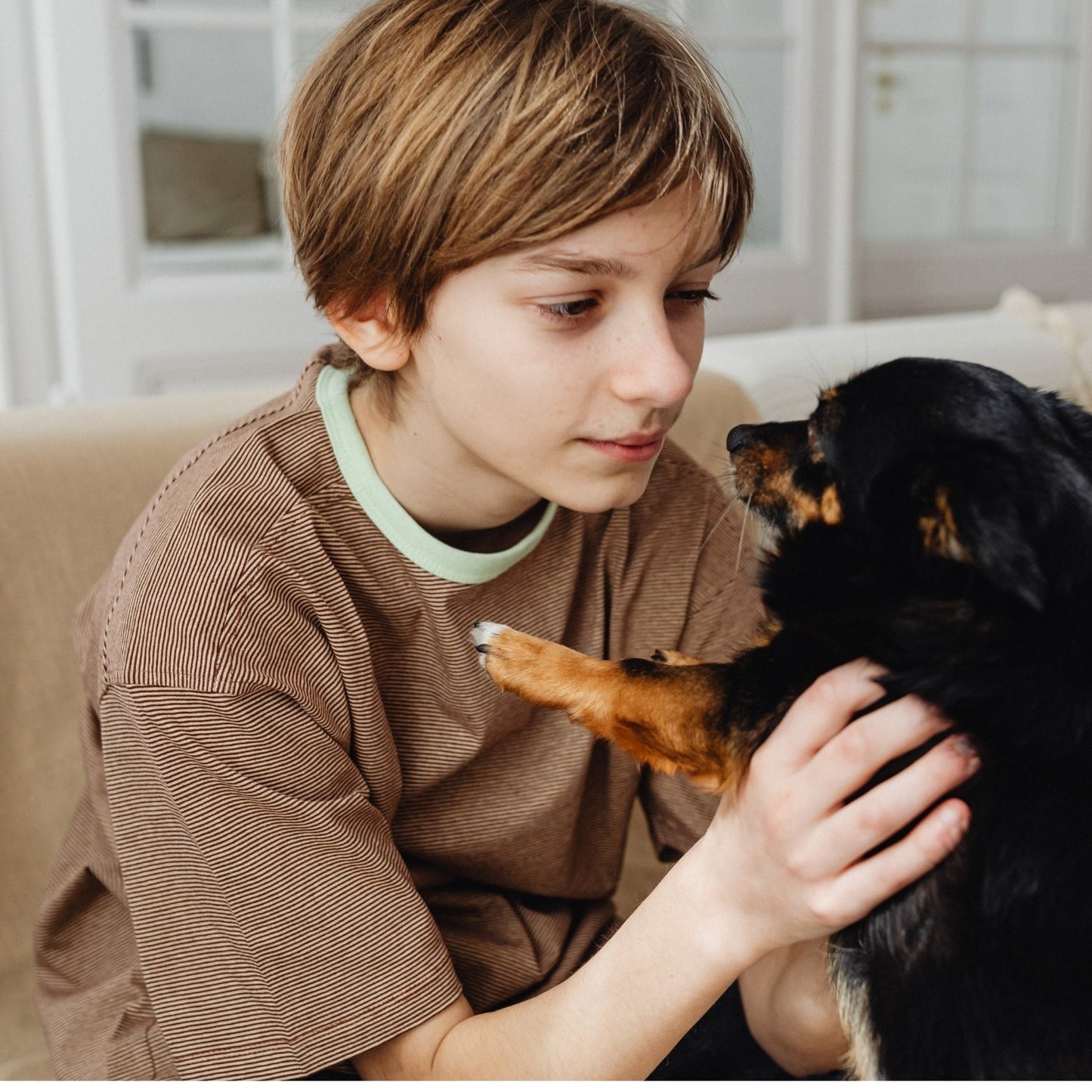 OptiCalm™ - Advanced Dog Calming Diffuser